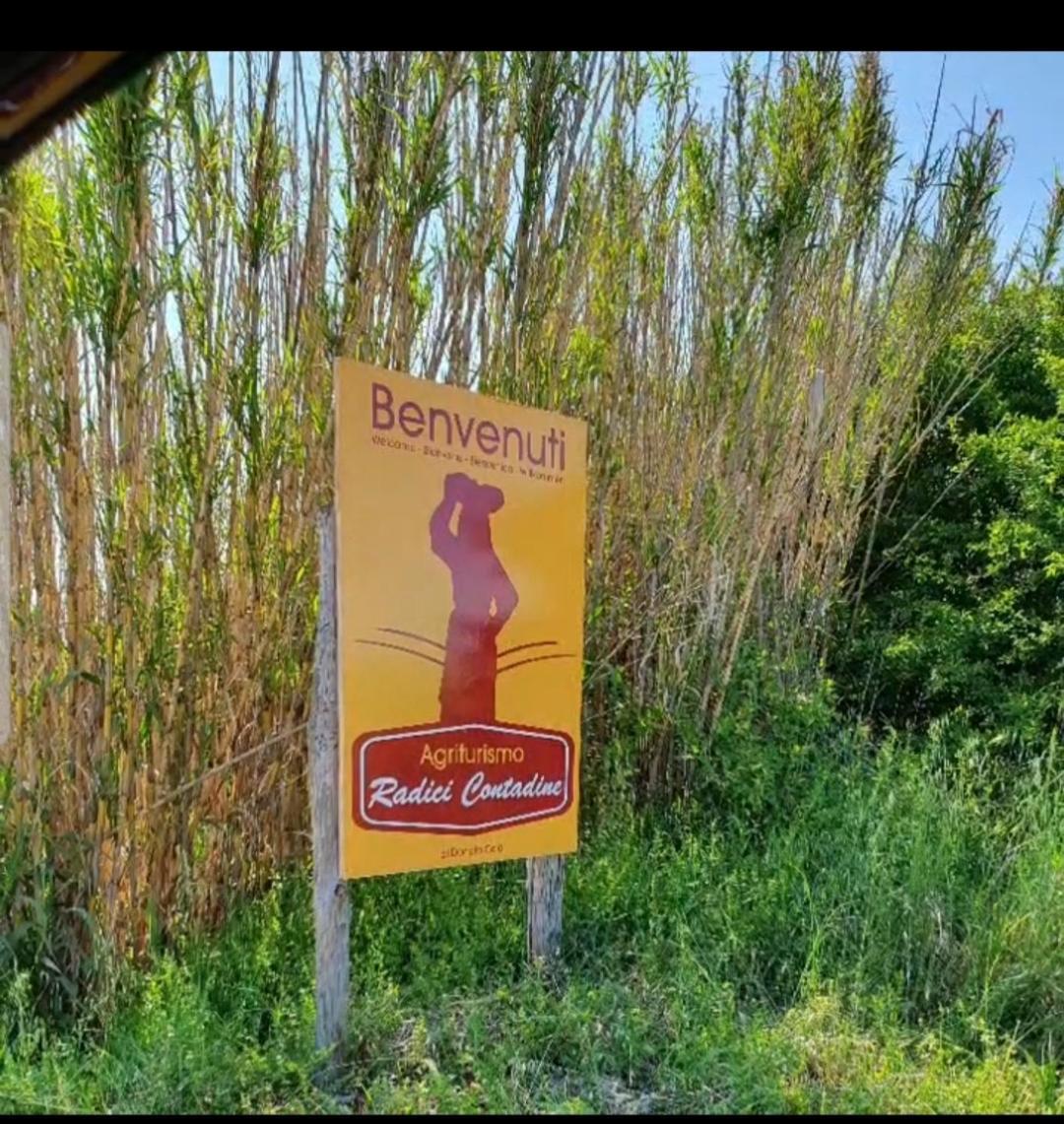 Agriturismo Radici Contadine Bisaccia ภายนอก รูปภาพ